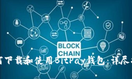如何下载和使用BitPay钱包：详尽指南
