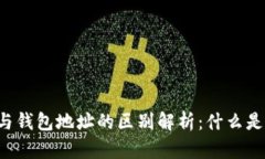 虚拟币地址与钱包地址的