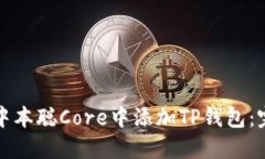 如何在中本聪Core中添加