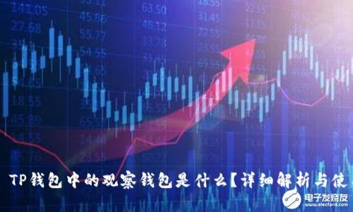 ### TP钱包中的观察钱包是什么？详细解析与使用指南