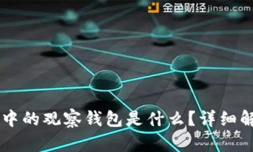 ### TP钱包中的观察钱包是什么？详细解析与使用指南
