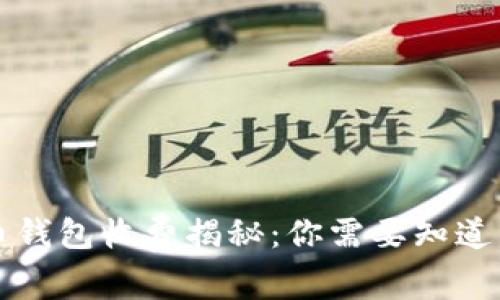 虚拟币钱包收费揭秘：你需要知道的一切