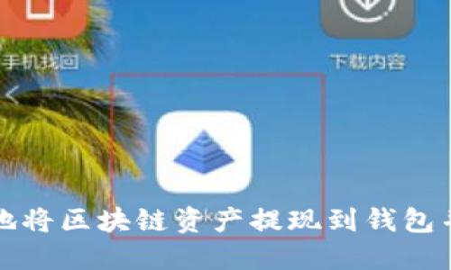 如何安全地将区块链资产提现到钱包并导入私钥