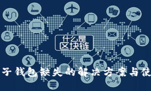 TP钱包子钱包缺失的解决方案与使用指南