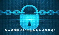 国内有哪些与TP钱包类似的