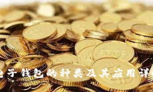 电子钱包的种类及其应用详解