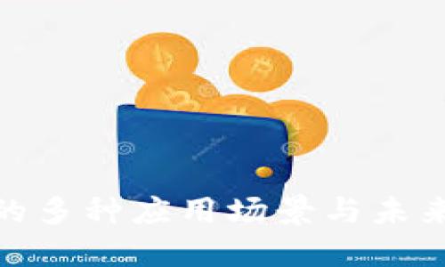 加密货币的多种应用场景与未来发展趋势