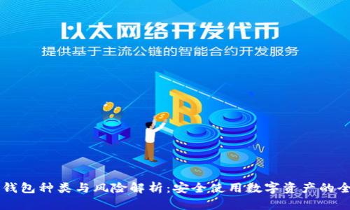 区块链钱包种类与风险解析：安全使用数字资产的全面指南
