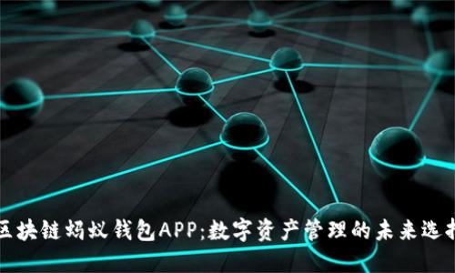 区块链蚂蚁钱包APP：数字资产管理的未来选择