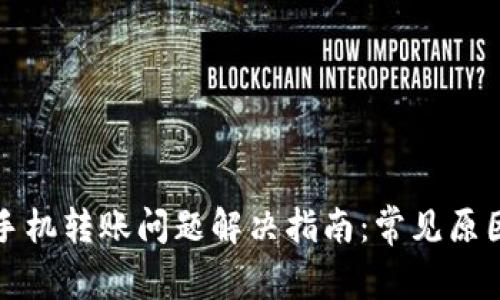 TP钱包苹果手机转账问题解决指南：常见原因与解决方案