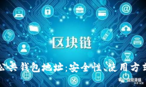 详解区块链公共钱包地址：安全性、使用方式与最佳实践