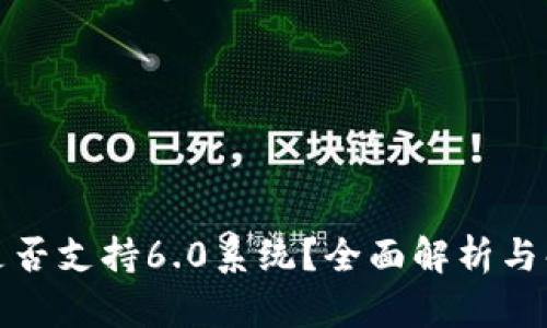 TP钱包是否支持6.0系统？全面解析与解决方案