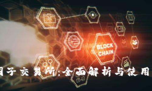 币圈子交易所：全面解析与使用指南