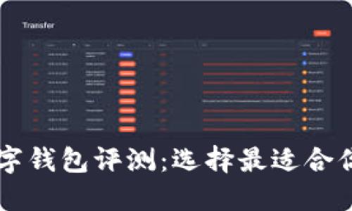 币圈必备数字钱包评测：选择最适合你的加密钱包