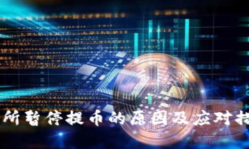 OK交易所暂停提币的原因及应对措施详解