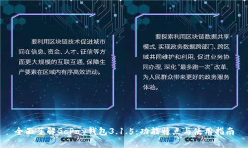 全面了解GoPay钱包3.1.5：功能特点与使用指南