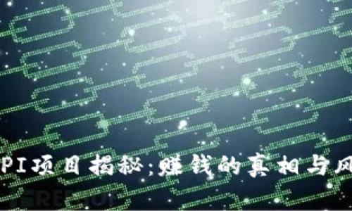 虚拟币PI项目揭秘：赚钱的真相与风险分析