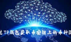 如何通过TP钱包获取币安链