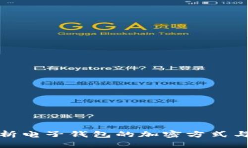 全面解析电子钱包的加密方式与安全性