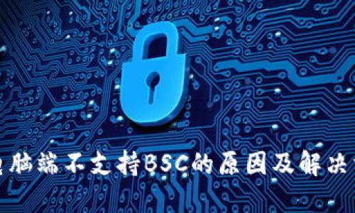 TP钱包电脑端不支持BSC的原因及解决方法详解