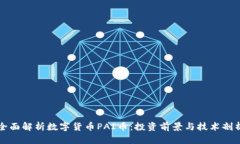 全面解析数字货币PAI币：