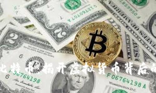 中本聪与比特币：揭开虚拟货币背后的神秘面纱