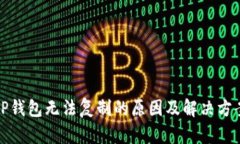TP钱包无法复制的原因及解