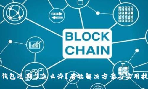 TP钱包过期了怎么办？有效解决方案与实用技巧