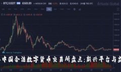 2023年中国合法数字货币交