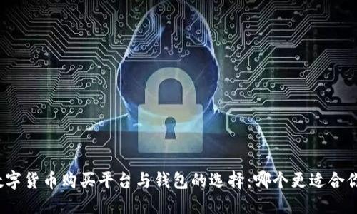 数字货币购买平台与钱包的选择：哪个更适合你？