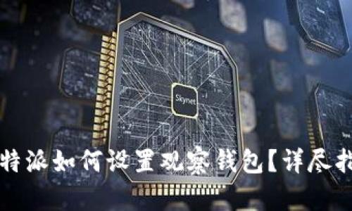 比特派如何设置观察钱包？详尽指南