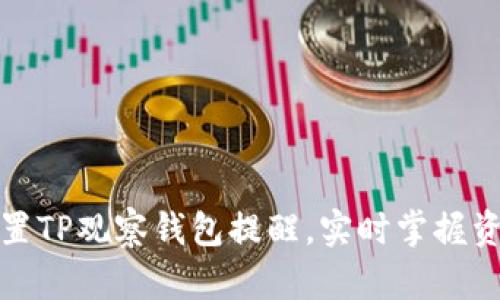 如何设置TP观察钱包提醒，实时掌握资产动态