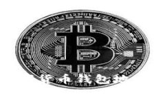 全面解析数字货币钱包地