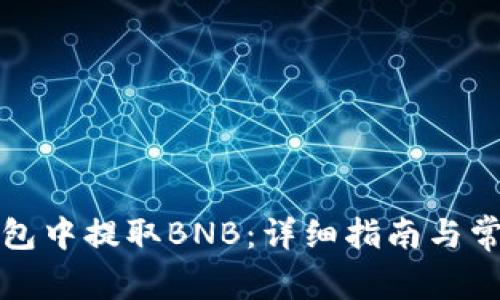 如何在TP钱包中提取BNB：详细指南与常见问题解答