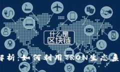 TRX币的用途解析：如何利