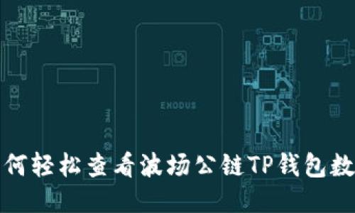 如何轻松查看波场公链TP钱包数据
