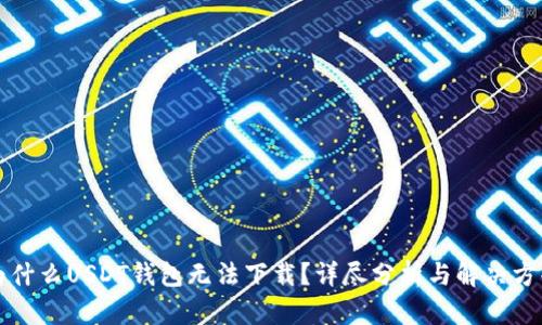 为什么USDT钱包无法下载？详尽分析与解决方案