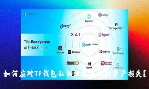 如何应对TP钱包私钥泄露导致的资产损失？