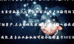   TP钱包如何支持BR公链及