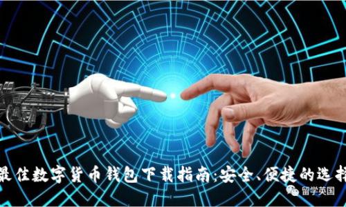 最佳数字货币钱包下载指南：安全、便捷的选择