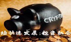 数字货币市场快速发展：