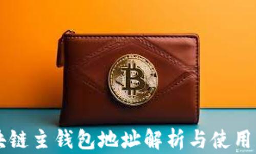 
区块链主钱包地址解析与使用指南