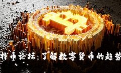 深入探索比特币论坛：了