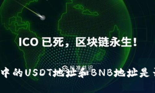 TP钱包中的USDT地址和BNB地址是否相同？