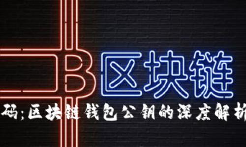 完美解码：区块链钱包公钥的深度解析与应用