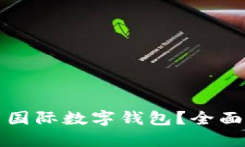 在哪里下载国际数字钱包？全面指南与推荐