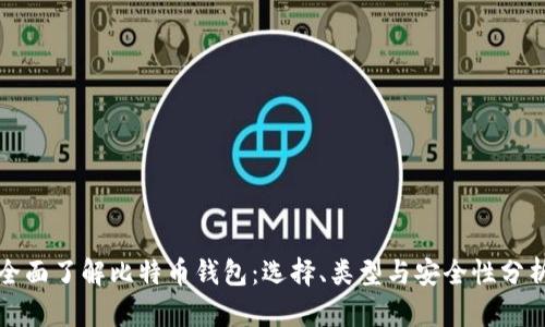 全面了解比特币钱包：选择、类型与安全性分析