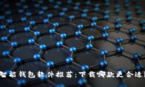 智能钱包软件推荐：下载哪款更合适？