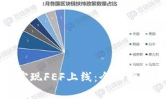 如何在TP钱包上实现FEF上线