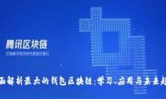 全面解析最大的钱包区块